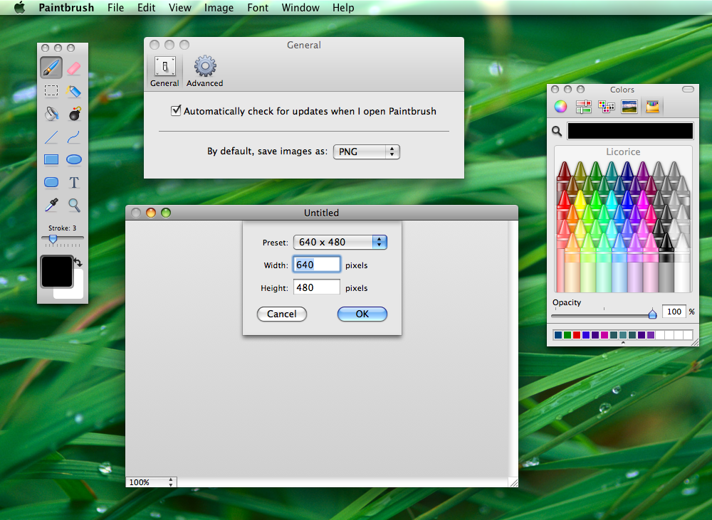 xp paint download for mac